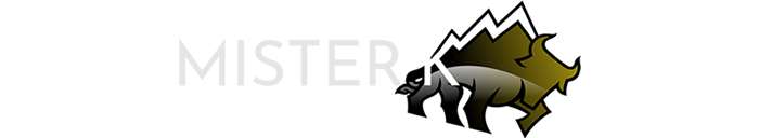 Sonik template